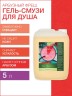 Гель-смузи для душа Арбузный Фреш (5 л)