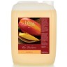 Гель-смузи для душа Манго (5 л)