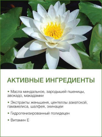 Масло массажное увлажняющее Лотос (110 мл)