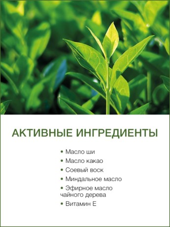 Массажная свеча Зеленый Чай Детокс (120 мл)