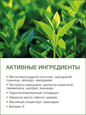 Масло массажное Зеленый Чай Детокс (110 мл)