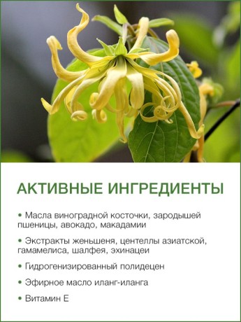Масло массажное - афродизиак Иланг-Иланг (700 мл)