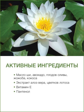 Лосьон для тела Лотос (250 мл)